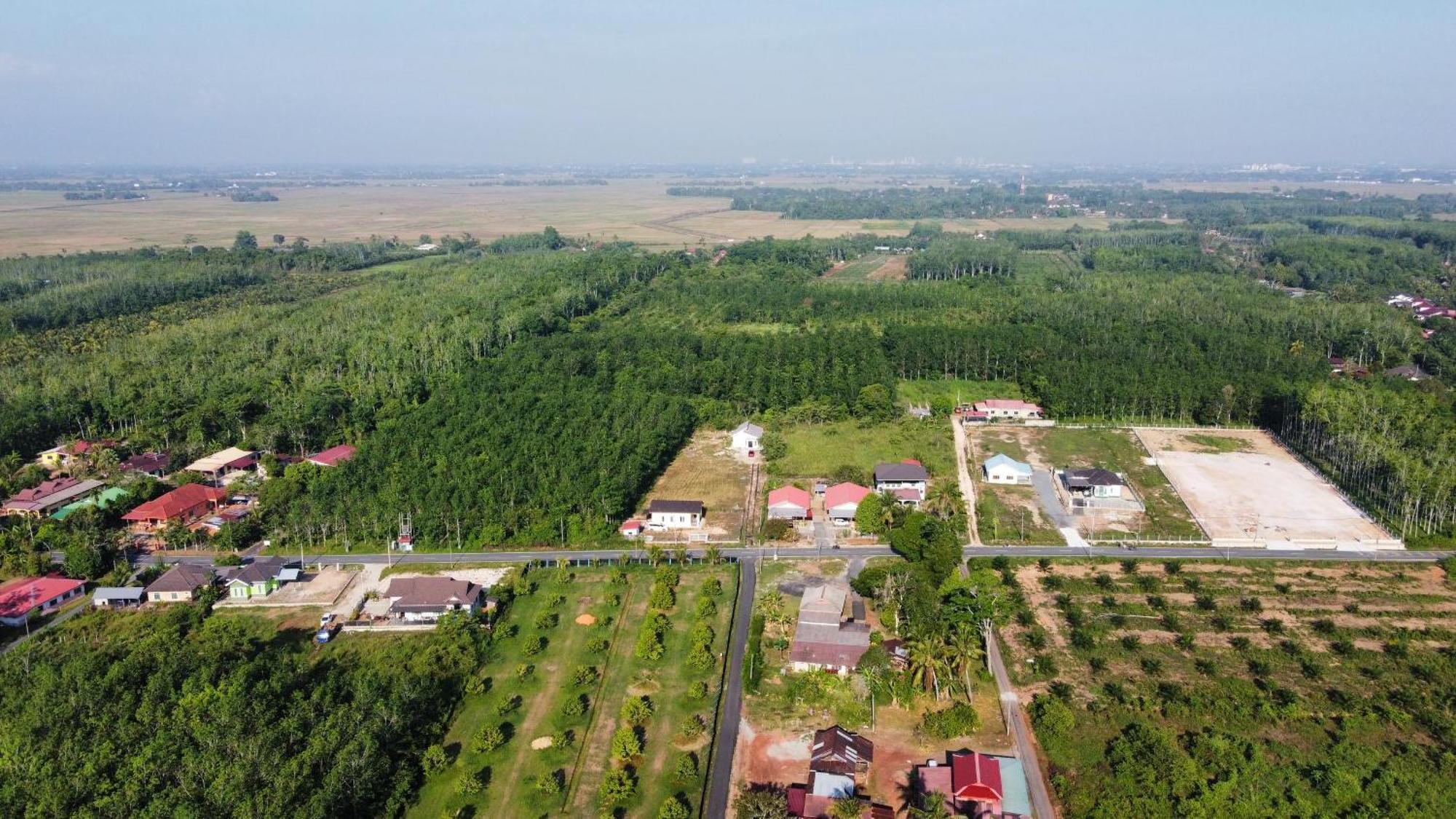 Minimalist Homestay D Pokok Sena Exterior foto